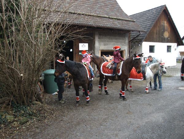 Weihnacht_2013_DSCF8361