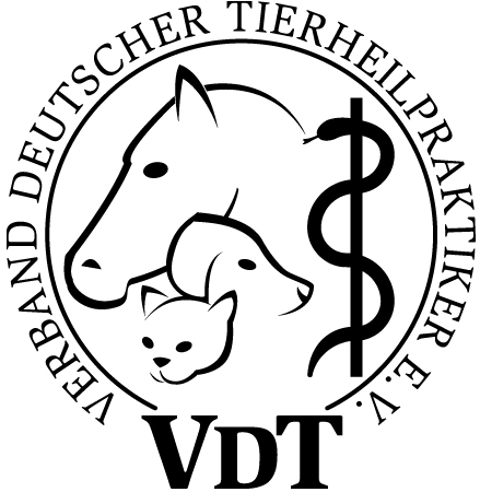 vdt_logo_sw